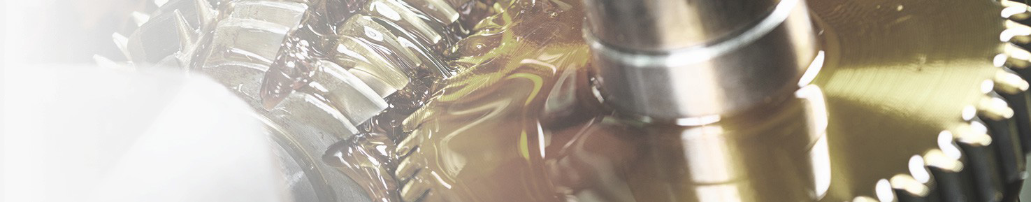 Roller Chain<br>Flexible Coupling